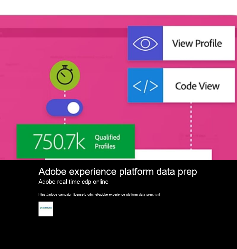 Adobe experience platform data prep Adobe real time cdp online What is Adobe Experience Platform Data Ingestion?