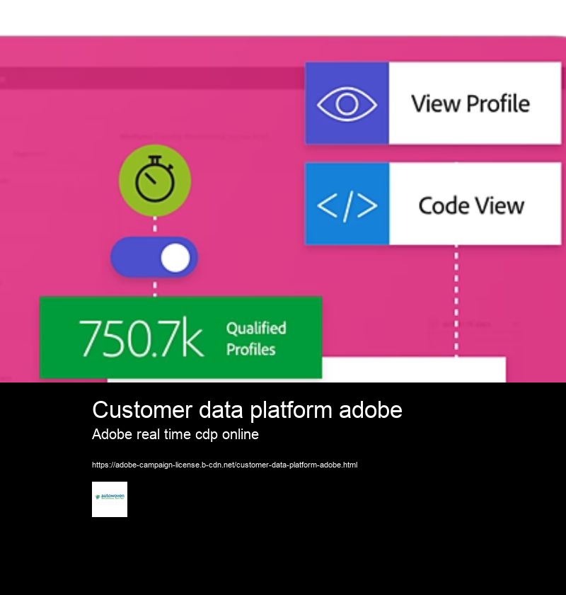 Customer data platform adobe Adobe real time cdp online What is Adobe Real-Time CDP?