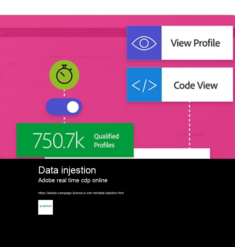 Data injestion Adobe real time cdp online What is Adobe Experience Platform Real-Time CDP?